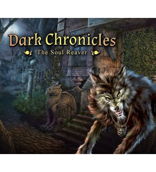 Dark Chronicles: The Soul Reaver Steam Key GLOBAL